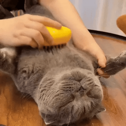 Cepillo de Vapor 3 en 1 para Mascotas: Aseo, Masaje y Brillo en un Solo Toque